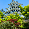 晴天の郡上八幡城