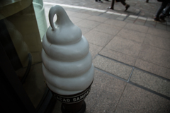 Street Snap