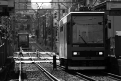 Tokyo Sakura Tram