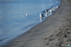 On the beach