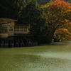 November - Lake