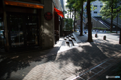 Street Snap