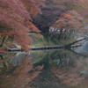 November - Lake