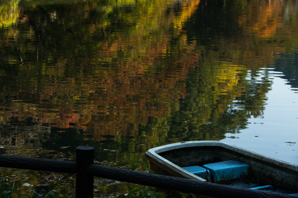 November - Lake