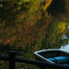 November - Lake
