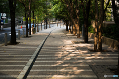 午後の歩道
