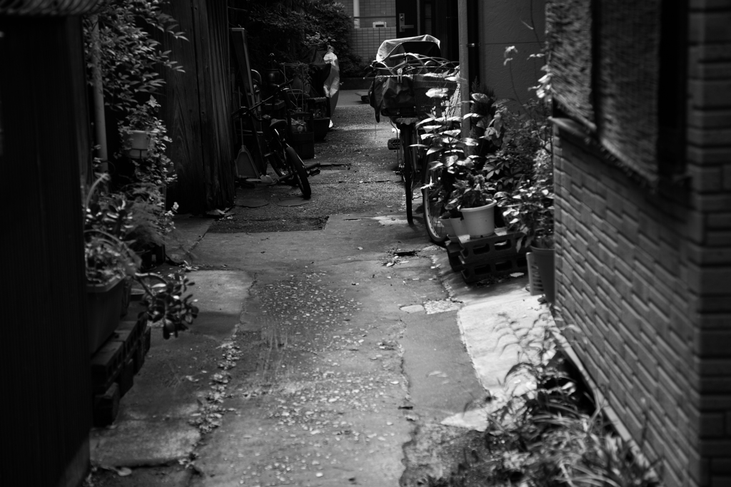 路地裏