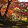 December - 紅葉