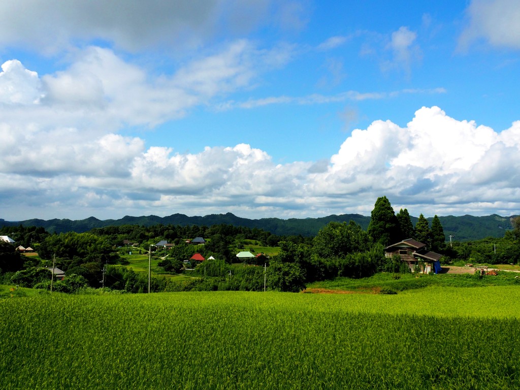 里山