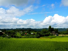 里山
