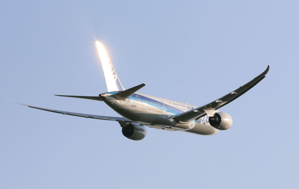 黄金色に輝く垂直尾翼