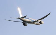 黄金色に輝く垂直尾翼