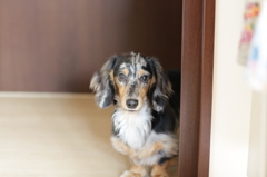 何してるの？