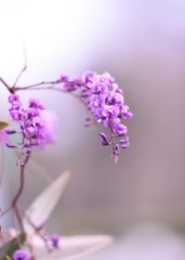 ３月の公園