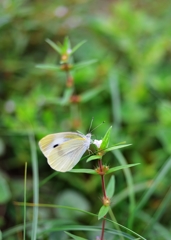鳴尾浜公園