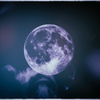 Luna piena