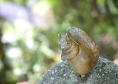 公園の秋色
