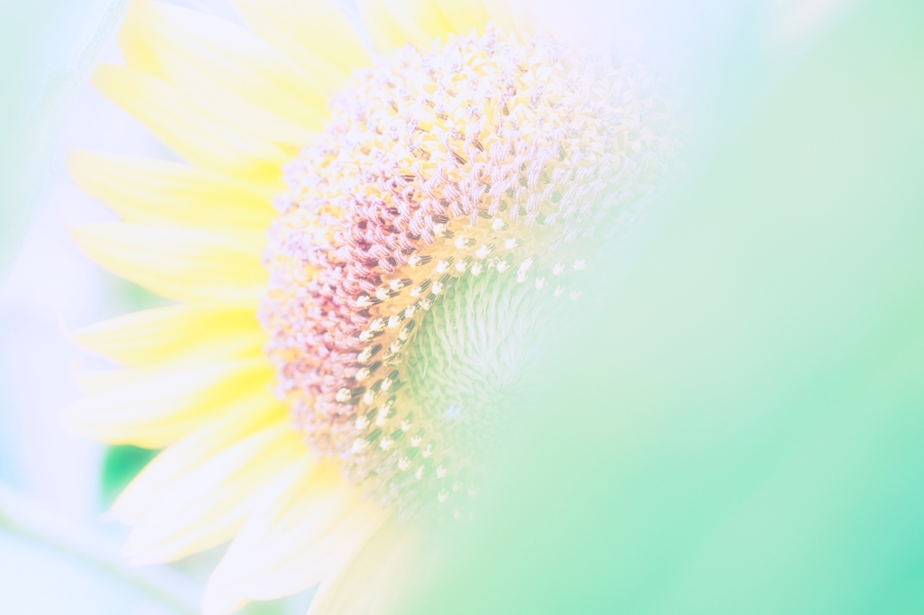 2020_3674