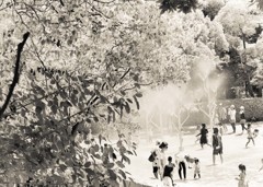 Extremely hot day