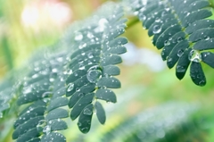 September In The Rain
