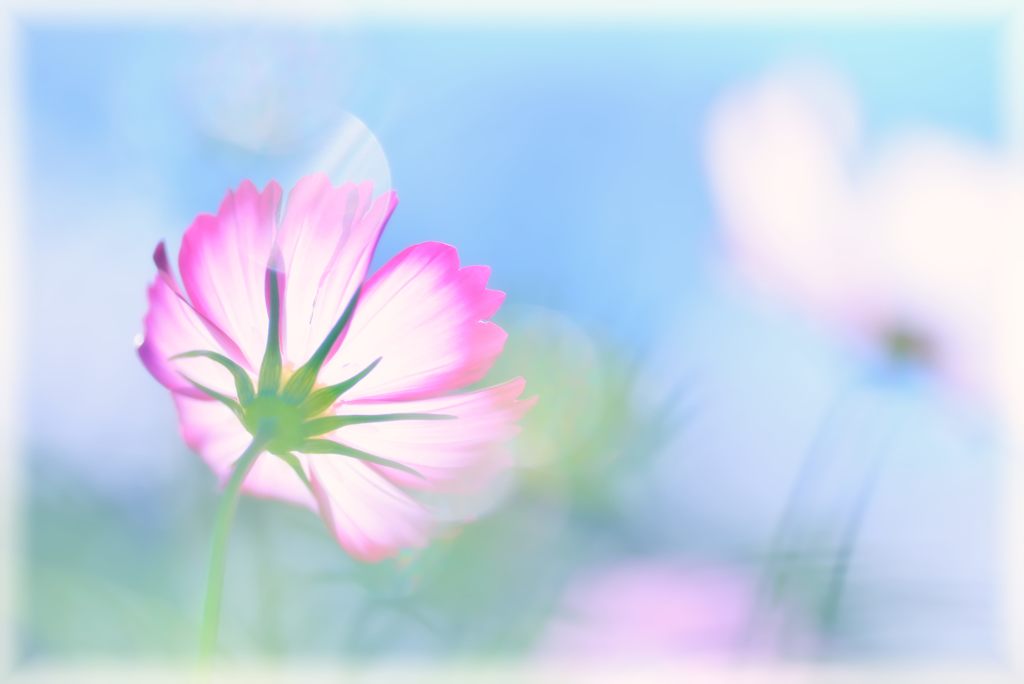 Harmony
