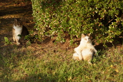 おじいちゃん大丈夫？