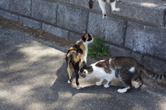 いつもの仲良し