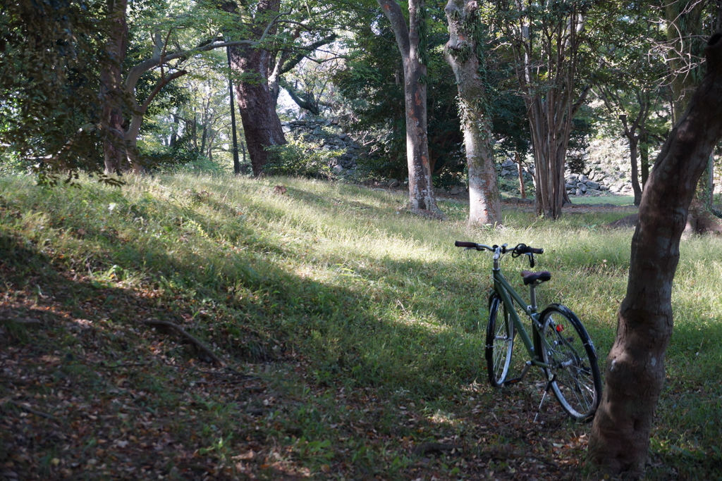 自転車のある風景