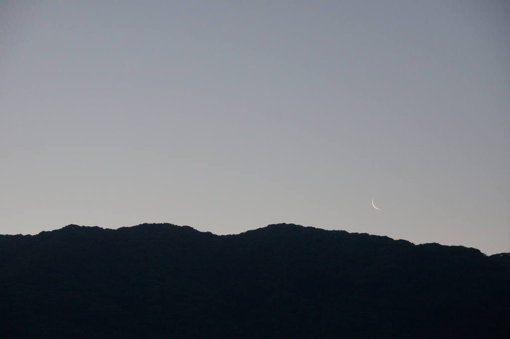 morning moon