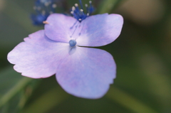 光と色の変化１