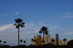 ホテル・カリフォルニア？