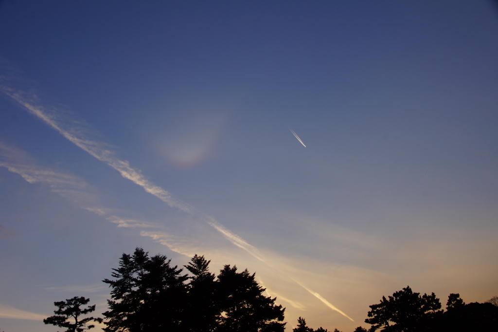 御所の空