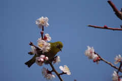 見下ろして