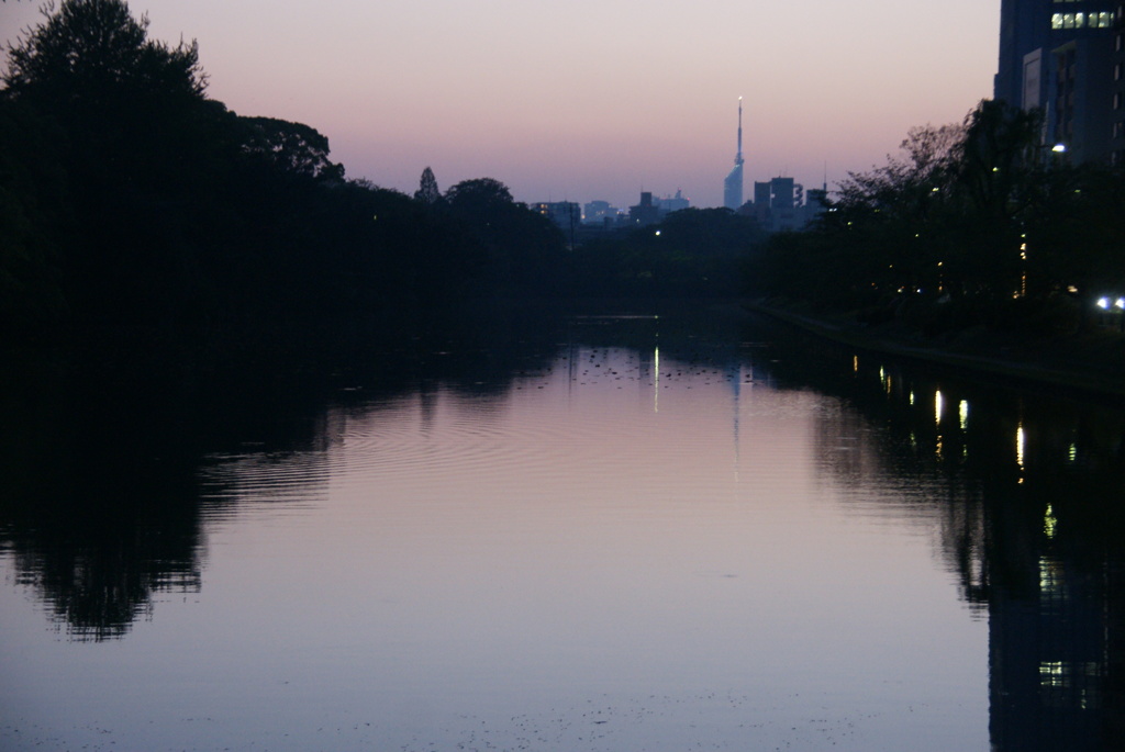 福岡城址の夕暮れ