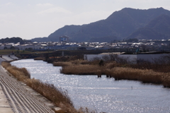 光る川