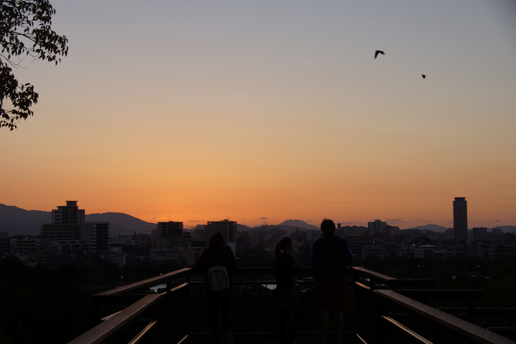 夕陽ウォッチャーズ