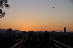 夕陽ウォッチャーズ