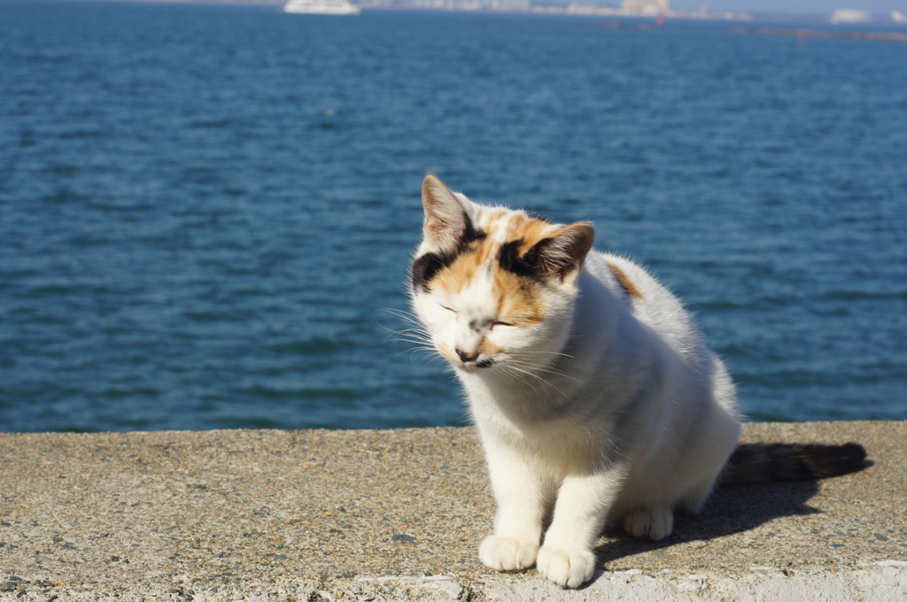 こんにちは～