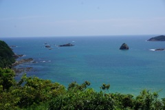 伊豆の外浦海岸
