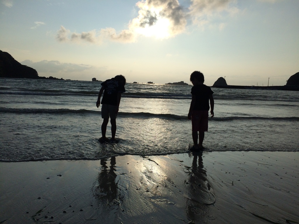 朝の海