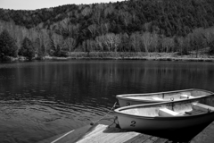 DSC_0080_0647