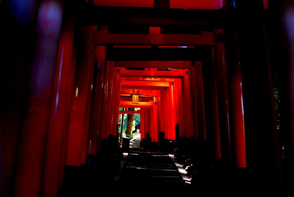 DSC_1486