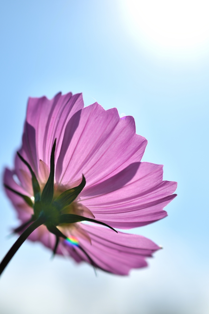 DSC_0016_0035
