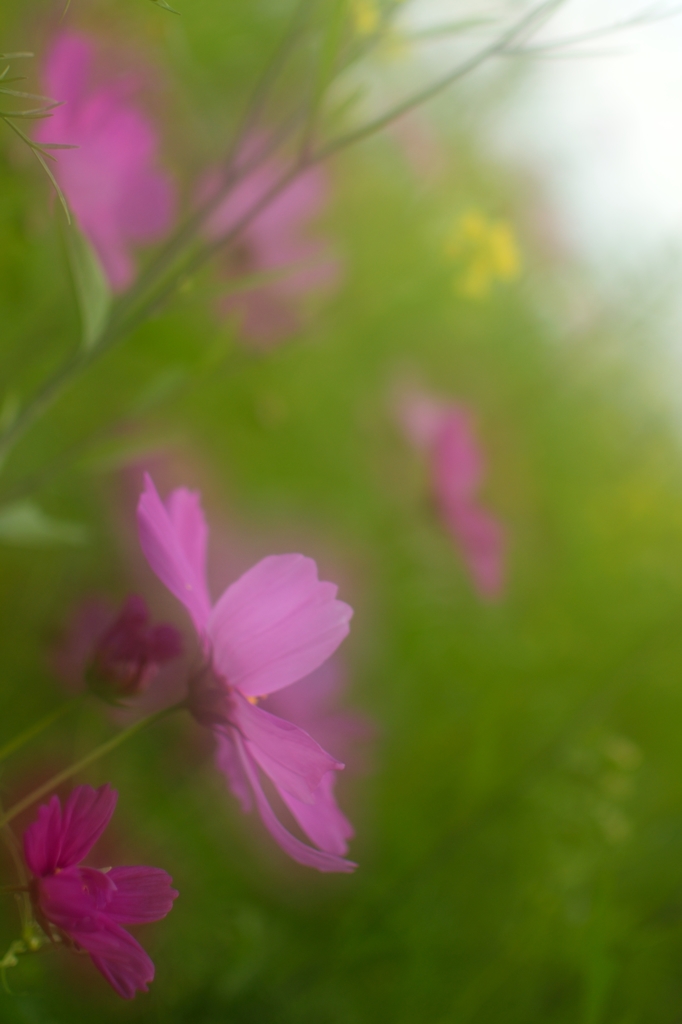 DSC_0035_0150