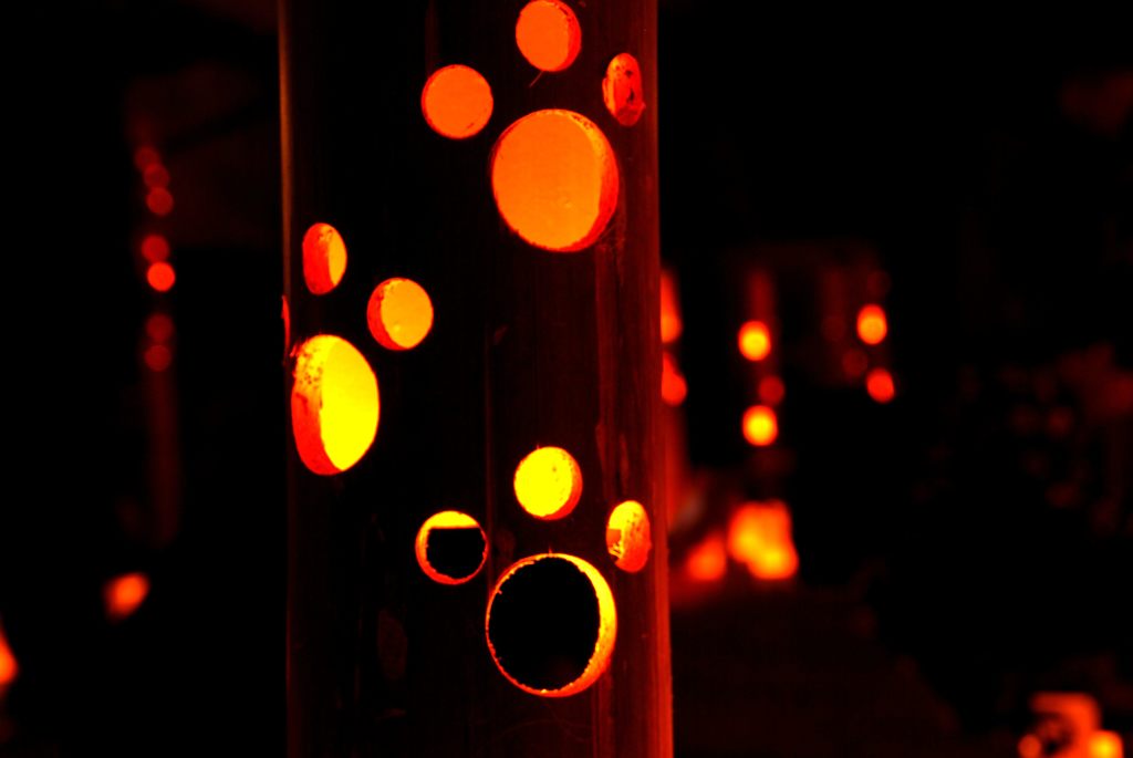 DSC_0296