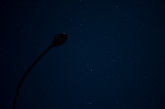 DSC_0007_0087
