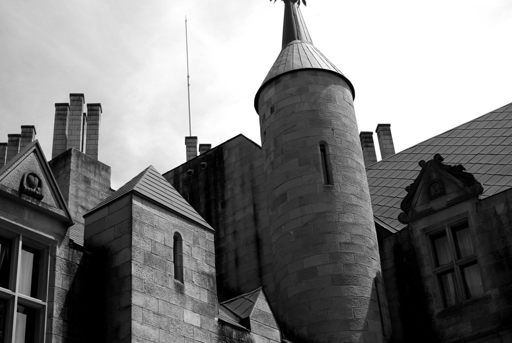 DSC_0147