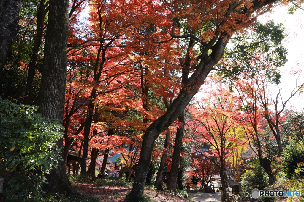 2019　定光寺にて