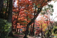 2019　定光寺にて