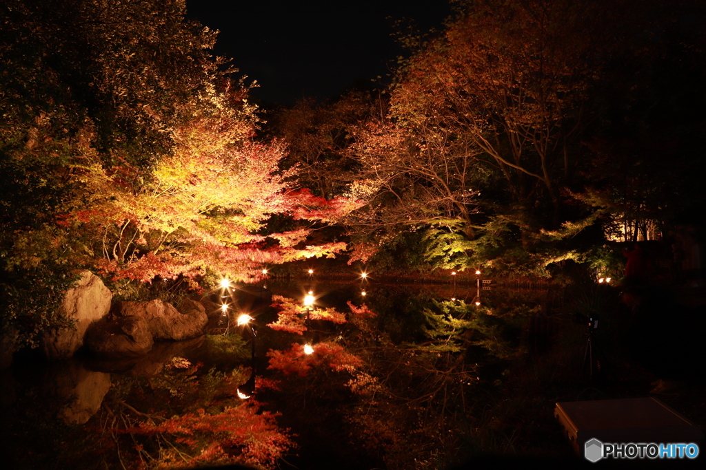 2019　白鳥庭園にて